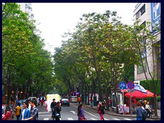 Chaotic, crowded streets in typical Chinses style near Guangxiao Temple, an ancient temple that was closed for reconstruction or demolishment (that I hope not) during when we finally managed to find it!